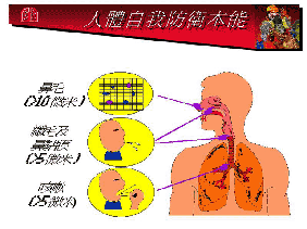 訓練手冊第七頁